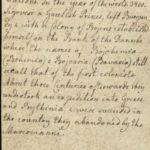 Manuscript of published text written on individual cards by Charlotte